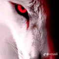 amyvirk430